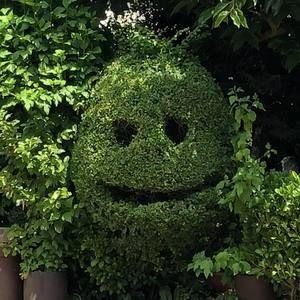 Meet your Posher, Kat